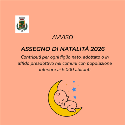 Assegno di natalità Anno 2026