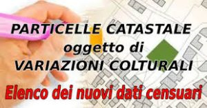 Attività di pubblicizzazione degli elenchi di particelle oggetto di variazioni colturali, ai sensi dellart. 2, comma 33, del decreto-legge 3 ottobre 2006, n. 262, convertito, con modificazioni, dalla legge 24 novembre 2006, n. 286, e successive modificazioni e integrazioni.
